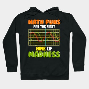 Funny Math Puns Are The First Sine Of Madness Pun Hoodie